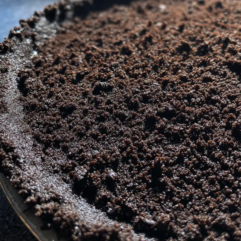Oreo Pie Crust Recipe No Bake Chocolate Crumbs 1759905995.0031238