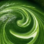 Spinach Soup Recipe Emerald Spinach Soup With Yogurt Swirl 1761409632.2715611