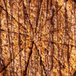 Saftiger Nussecken-Kuchen aus der Springform 4 Saftiger Nussecken-Kuchen aus der Springform